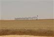 اطلاق إشارة بدء موسم حصاد القمح وقرار يخص سيناء (12)                                                                                                                                                    