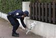 أجواء حزن في فرنسا بعد مقتل شرطي