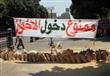 160620133106_egypt_muslim_brotherhood_640x360_bbc_