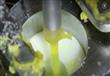 عملية صناعة البيض الطويل                                                                                                                                                                                