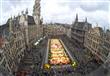 بلجيكا تحتفل بأكبر سجادة للزهور