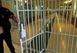 تركيا تفرج عن أكثر من 35 ألف سجين جنائي لتخفيف ازد