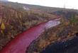 نهر روسي يتحول للون الدماء (2)                                                                                                                                                                          