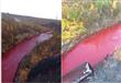 نهر روسي يتحول للون الدماء (3)                                                                                                                                                                          