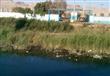 مصنع يلقي مخلفاته الصناعية في مياه النيل (2)                                                                                                                                                            