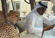 الإمارات تحظر على مواطنيها تربية الأسود                                                                                                                                                                 
