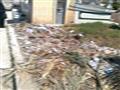 القمامة في بورسعيد (2)                                                                                                                                                                                  