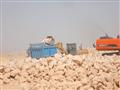 محافظ سوهاج يعلن استمرار العمل في مصنع الأسمنت غرب جهينة (13)                                                                                                                                           