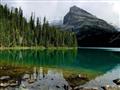 The contiguous national parks of Banff                                                                                                                                                                  