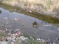 الجفاف يجتاح أراضي قرية إبطو بكفر الشيخ (17)                                                                                                                                                            