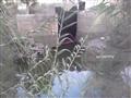 الجفاف يجتاح أراضي قرية إبطو بكفر الشيخ (12)                                                                                                                                                            