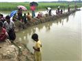 مخيمات الروهينجا في بنجلاديش (9)                                                                                                                                                                        