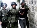 سلطات الاحتلال الإسرائيلي تعتقل