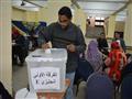 انتخابات اتحاد الطلاب بالاسكندرية (5)                                                                                                                                                                   