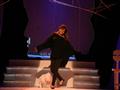 سيلفي مع الموت يمثل مصر في مهرجان أربيل المسرحي (2)                                                                                                                                                     