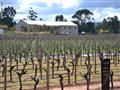 http_%2F%2Fcdn.cnn_.com%2Fcnnnext%2Fdam%2Fassets%2F171122145718-perth-mandoon-wine                                                                                                                      