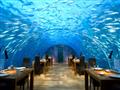 مطعم تحت الماء 2                                                                                                                                                                                        