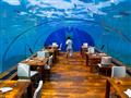 أكبر مطعم تحت البحر في العالم