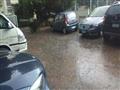 أمطار الفيضة الصغرى بالاسكندرية (7)                                                                                                                                                                     