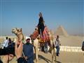 ملكتا جمال اليونان ومصر في زيارة للأهرامات (4)                                                                                                                                                          