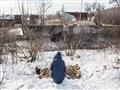 شابة تجلس أمام جثمان والدتها التي قُتلت بقصف في أوكرانيا، يوم 1 فبراير                                                                                                                                  