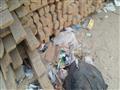 القمامة تحيط بالمدارس بالاسماعيلية (2)                                                                                                                                                                  