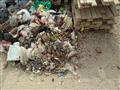 القمامة تحيط بالمدارس بالاسماعيلية (4)                                                                                                                                                                  