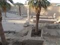أموات سوهاج يزاحمون الفراعنة بمقابر أخميم (15)                                                                                                                                                          