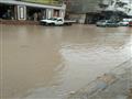 أمطار غزيرة تغرق شوارع البحيرة (8)                                                                                                                                                                      