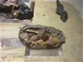 متحف التمساح (24)                                                                                                                                                                                       