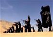 حماس ينضمون إلى داعش سيناء