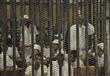 محاكمة 42 متهمًا بقضية تنظيم أجناد مصر