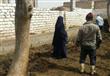 تحصين المواشي ضد الحمى القلاعية ببورسعيد (4)                                                                                                                                                            
