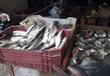 ارتفاع أسعار الأسماك بكفر الشيخ (3)                                                                                                                                                                     