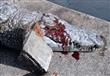 رجم تمساح حتى الموت في تونس                                                                                                                                                                             