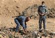 شرطيان عراقيان يحاولان انتشال جثة من مقبرة جماعية 