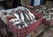 حملات شعبية بكفر الشيخ لمقاطعة الأسماك (7)                                                                                                                                                              