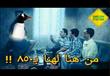 سخرية مواقع التواصل من قدوم البطاريق في مول مصر (8)                                                                                                                                                     