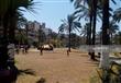 إقبال متوسط على حدائق بورسعيد في شم النسيم (4)                                                                                                                                                          