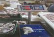 ضبط ١٢٢ كيلو دجاج فاسد في حملة تموينية بكفر الشيخ (9)                                                                                                                                                   