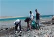 حملة لتنظيف شاطئ مرسى علم  (6)                                                                                                                                                                          