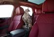 بنتلي Bentayga Falconry                                                                                                                                                                                 