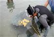 العثور على سمكة نادرة بشواطئ مدينة نويبع                                                                                                                                                                
