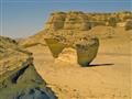 المحميات الطبيعية في مصر
