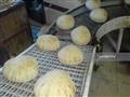 صناعة الخبز (6)                                                                                                                                                                                         