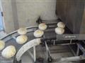 صناعة الخبز (12)                                                                                                                                                                                        