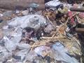 أبو المطامير تحت حصار القمامة وإشغالات الباعة الجائلين (9)                                                                                                                                              