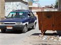صناديق القمامة تغلق شوارع سوهاج (3)                                                                                                                                                                     
