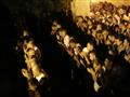 مسلمون يؤدون الصلاة خارج مدينة القدس القديمة في 25