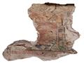 اكتشاف جداريات في دير الأنبا بيشوي (2)                                                                                                                                                                  